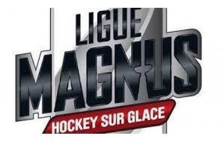 LM : 10ème journée